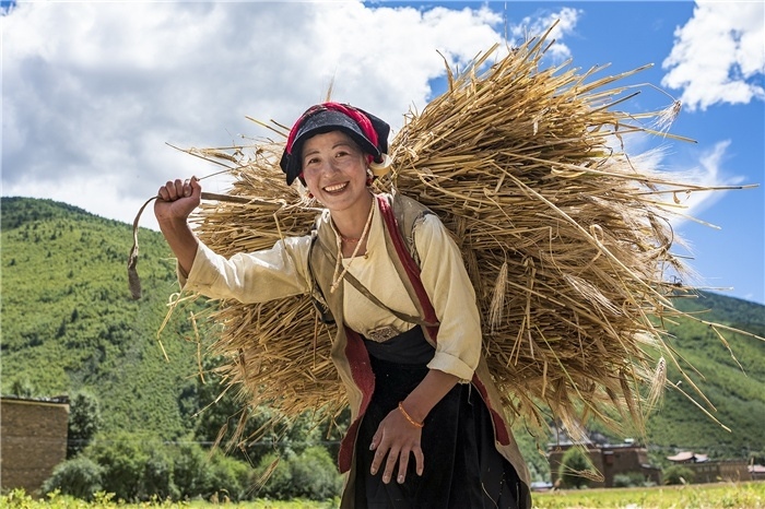 康定市甲根壩鎮(zhèn)青稞豐收，農(nóng)牧民臉上洋溢著豐收的喜悅。林革文攝