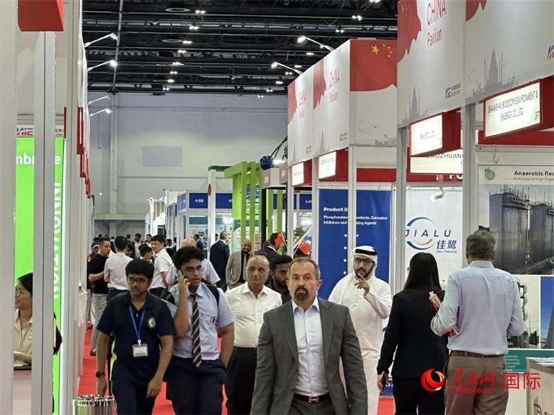 中國(guó)館一角。人民網(wǎng)記者管克江攝