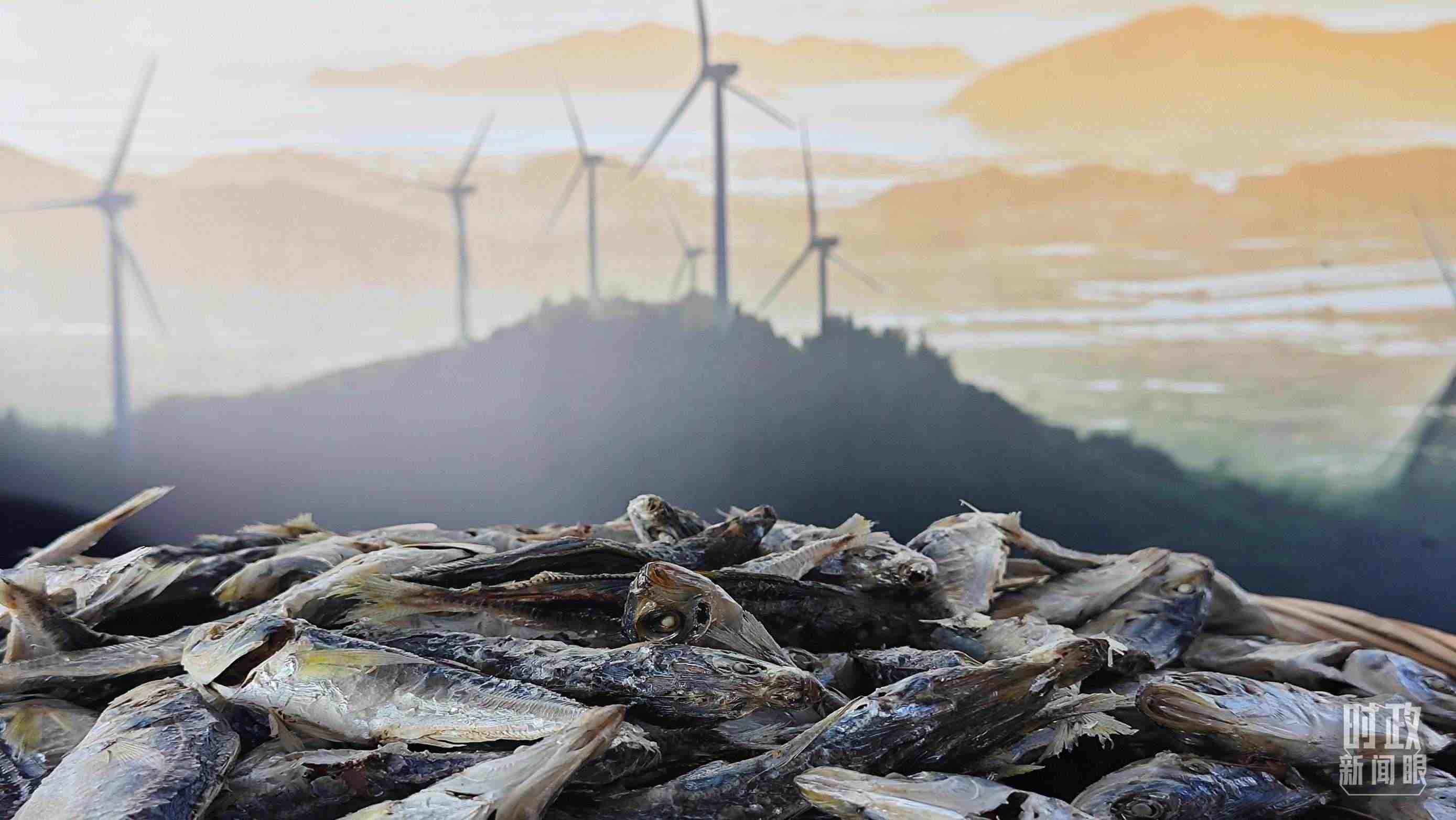 △澳角村的海產(chǎn)品。（總臺央視記者許永松拍攝）