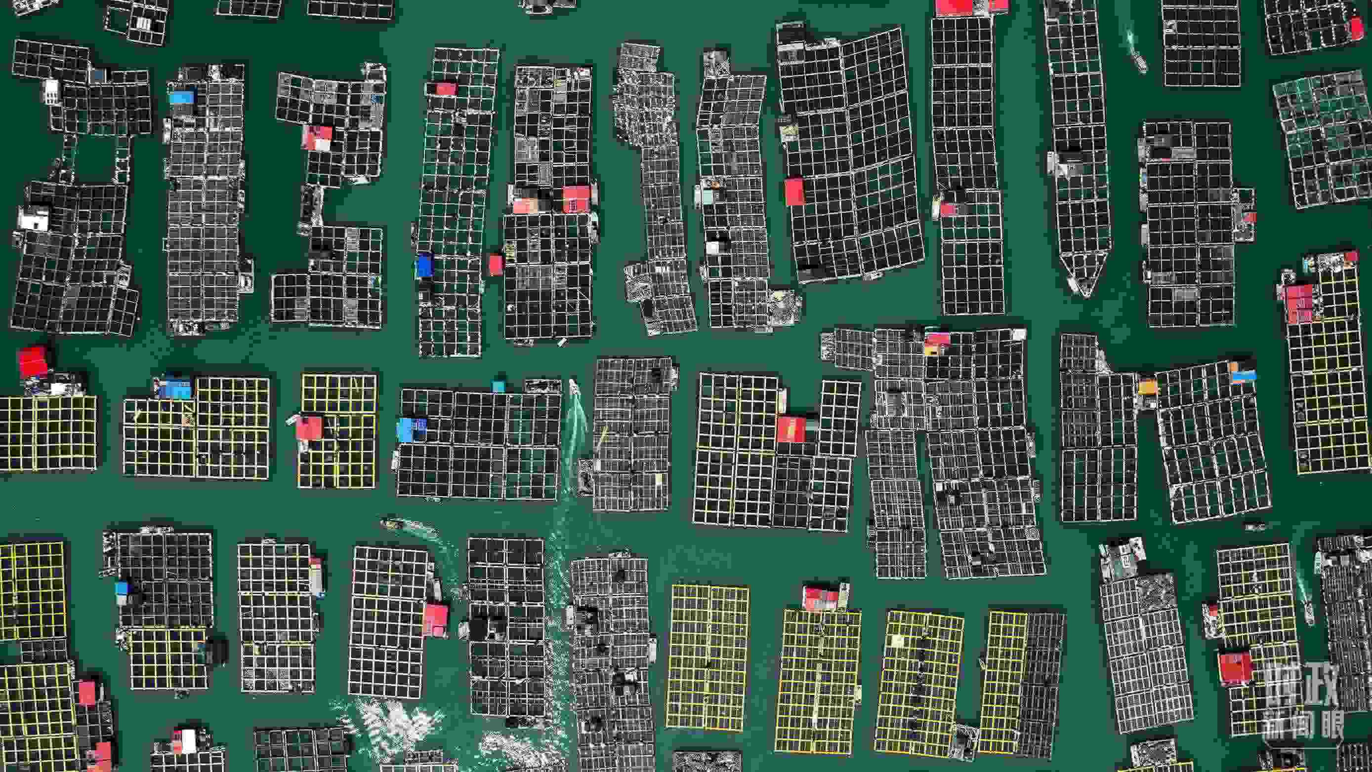 △澳角村。（總臺記者李晉拍攝）