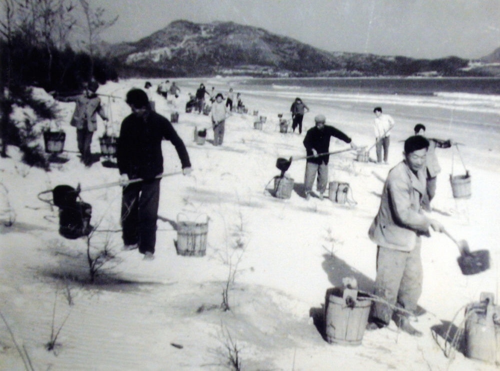 上世紀(jì)東山百姓在沙灘造林（資料照片）。