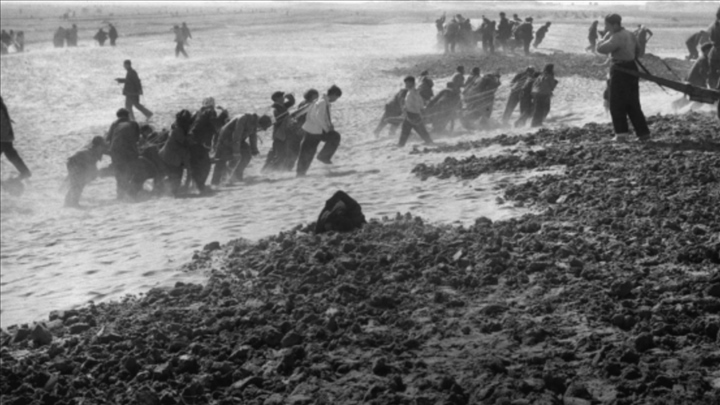 蘭考群眾在拉淤土壓沙。（新華社記者 鄧歷耕 攝）