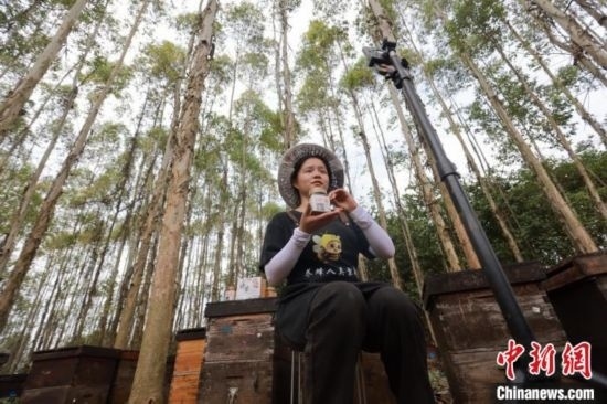 吳素英在網(wǎng)絡平臺直播介紹蜜蜂和養(yǎng)蜂情況。湯曉逵 攝