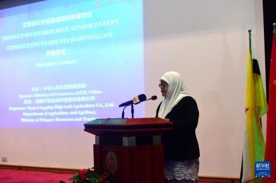 10月26日，文萊初級資源與旅游部常任秘書圖蒂亞蒂在斯里巴加灣市出席中國與文萊雜交水稻高級專家顧問項目啟動儀式。新華社記者 李萌 攝