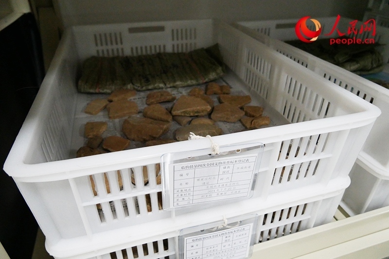 已經(jīng)整理完畢的文物標(biāo)本。人民網(wǎng)記者 韋衍行攝