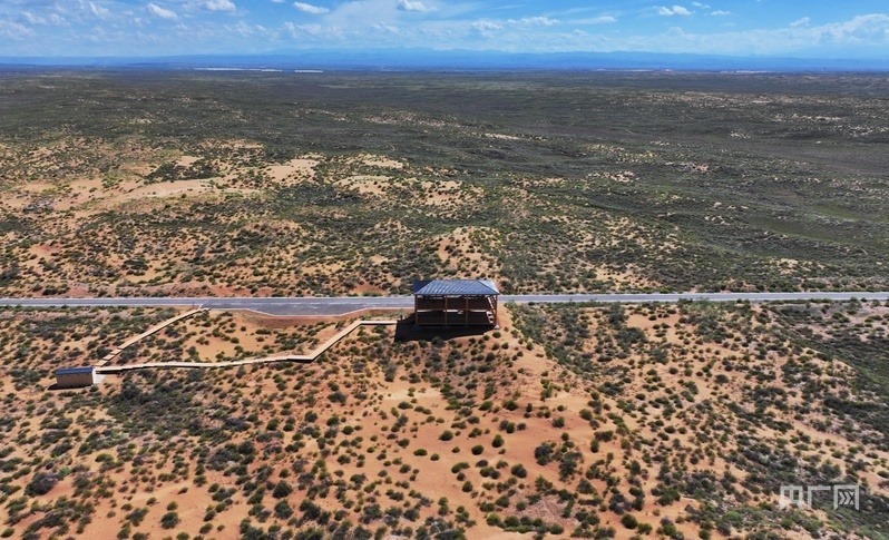 古浪縣一代代人治沙不息，讓綠色向沙漠深處不斷延伸（央廣網(wǎng)記者 李紅軍 攝）