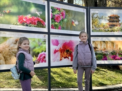 活動(dòng)現(xiàn)場。中國駐保加利亞大使館供圖。