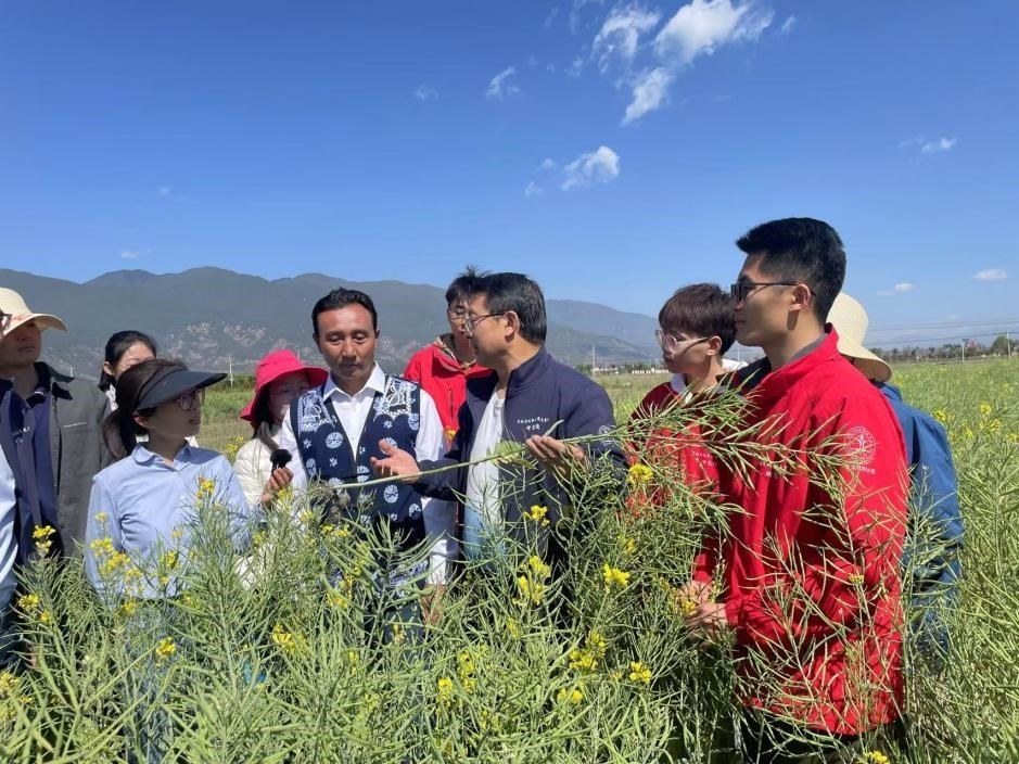 在“科技小院”授課的張福鎖。人民網(wǎng)記者李依環(huán) 攝