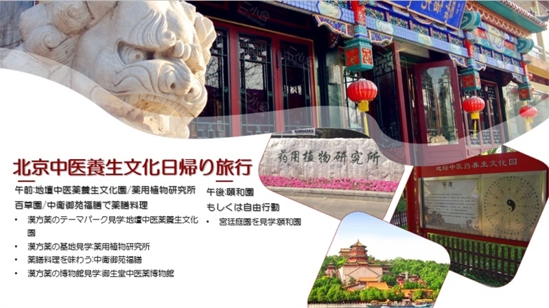 “你好！中國·休閑旅游—中國旅游說明會”宣講材料。中國駐東京旅游辦事處供圖