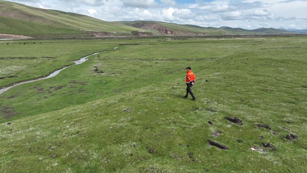 9月24日，生態(tài)管護(hù)員那瓦才郎在草場(chǎng)上巡護(hù)。（受訪者供圖）