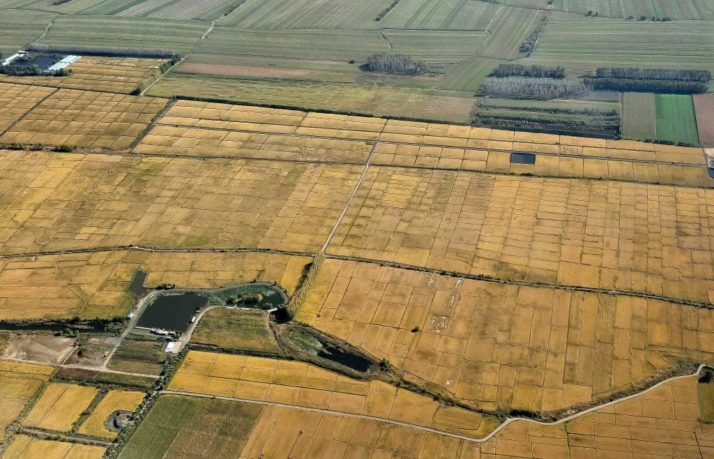 俯瞰黑龍江省哈爾濱市一處稻田（10月2日攝，無人機(jī)照片）。新華社記者 孫曉宇 攝