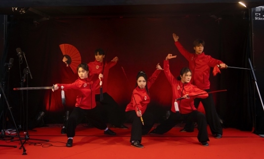 武術(shù)表演。中國駐芬蘭大使館供圖