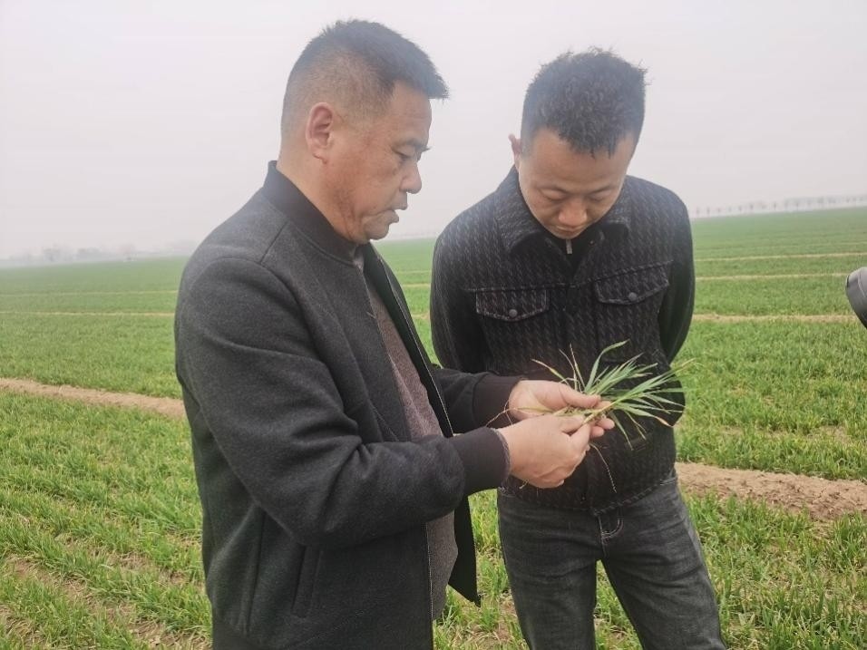 在山東濟寧汶上縣苑莊鎮(zhèn)，農(nóng)技員黃海龍對種糧大戶王振現(xiàn)場進行春耕指導。人民網(wǎng)記者 車柯蒙攝