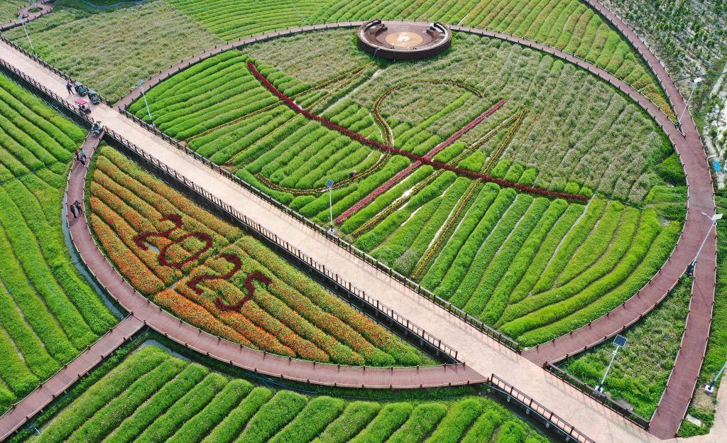 這是3月21日拍攝的瓊海博鰲南強(qiáng)村景色（無人機(jī)照片）。新華社記者 郭程 攝