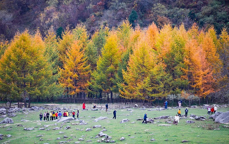 2023年10月27日，深秋時(shí)節(jié)的陜西秦嶺太子嶺五彩斑斕，進(jìn)入最佳觀賞期。