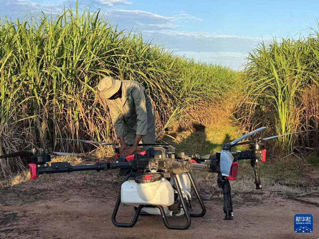 3月25日，在南非夸祖魯-納塔爾省的方廷希爾莊園，工作人員為無人機(jī)做起飛作業(yè)前的準(zhǔn)備。新華社記者 白舸 攝