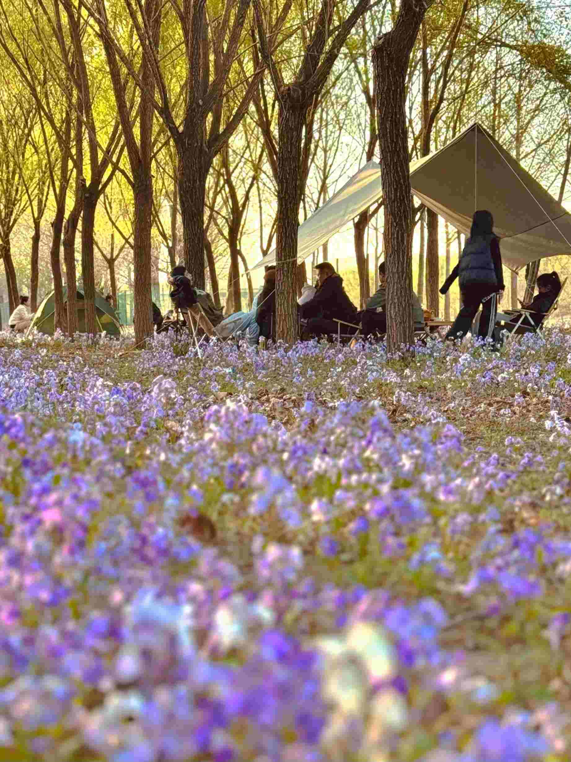 清明假期期間，范女士一家在北京溫榆河邊露營。受訪者供圖