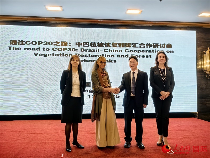 中國(guó)國(guó)家林業(yè)和草原局副局長(zhǎng)李云卿（右二）、巴西環(huán)境和氣候變化部部長(zhǎng)瑪麗娜·席爾瓦（左二）、巴西財(cái)政部副部長(zhǎng)羅熙丹（右一）、巴西駐華大使館公參樂(lè)美（左一）出席“通往COP30之路：中巴植樹(shù)造林和碳匯合作研討活動(dòng)”。人民網(wǎng)記者 符園園攝