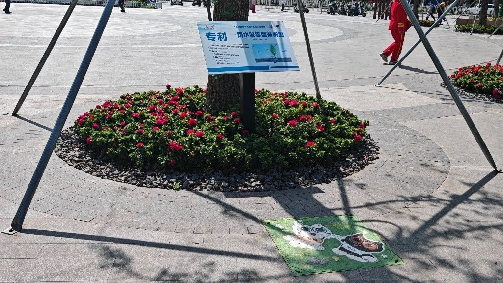 廣安“雨水收集調(diào)蓄樹池”，已在市內(nèi)公園落地運用。受訪者供圖