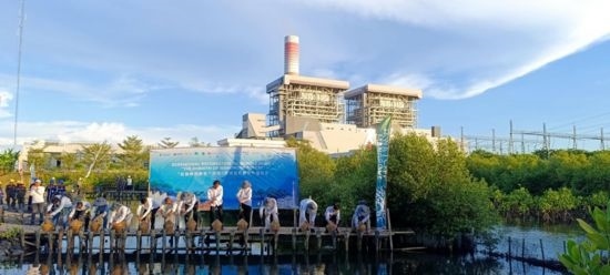 5月18日，中印尼嘉賓在爪哇7號燃煤電站舉行紅樹林補植儀式。記者 曹凱 攝