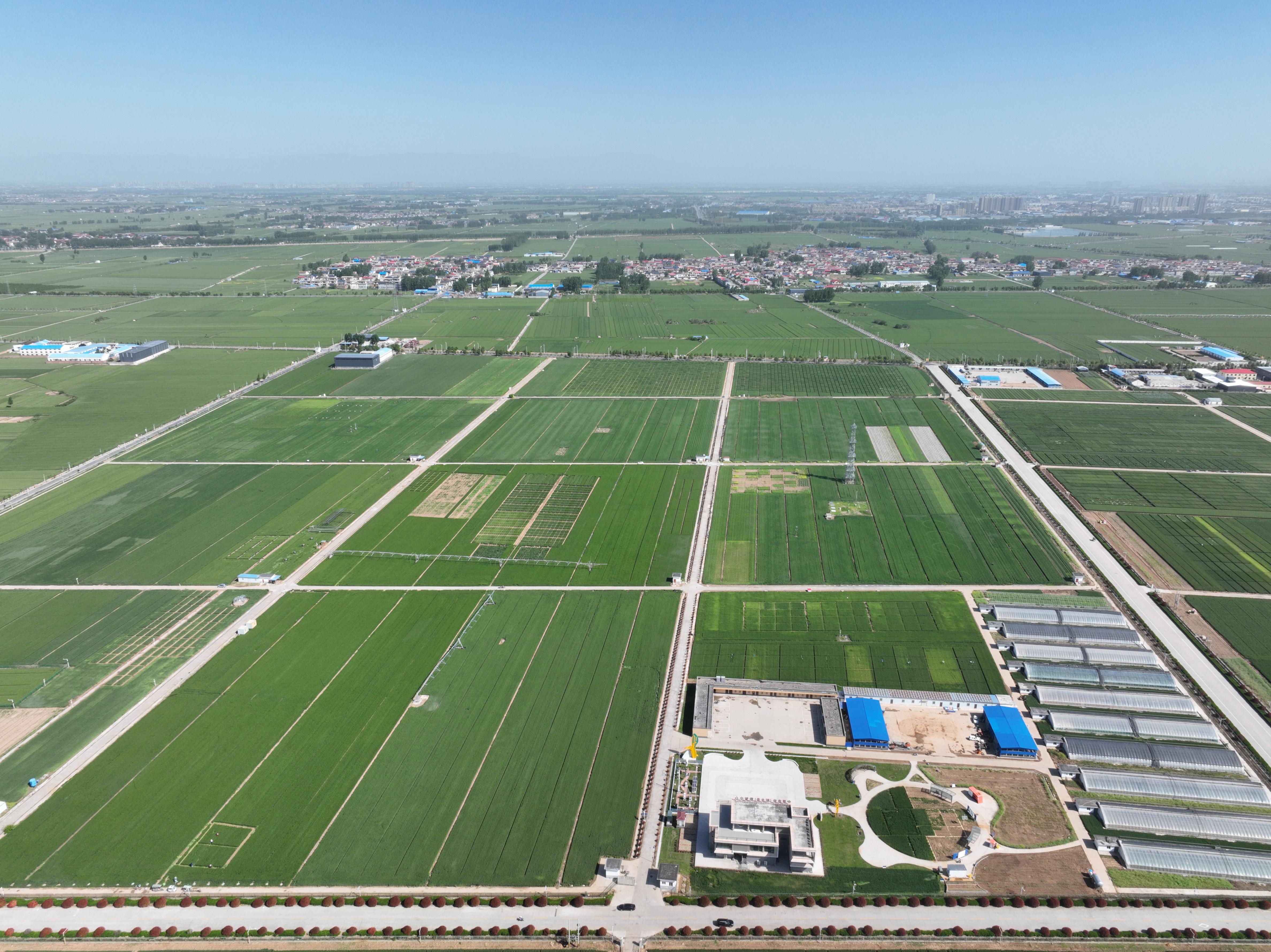 俯瞰水利部灌溉試驗總站試驗研究基地。受訪者供圖